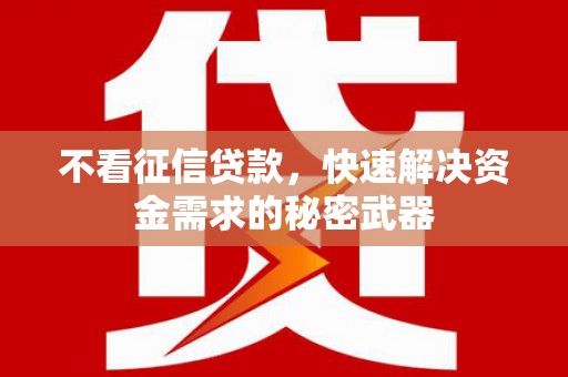 林园不看征信贷款，快速解决资金需求的秘密武器