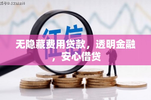 林园无隐藏费用贷款，透明金融，安心借贷