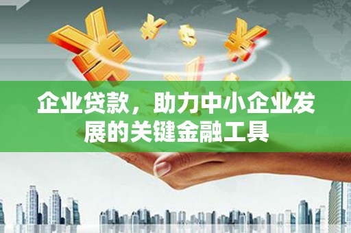 林园企业贷款，助力中小企业发展的关键金融工具