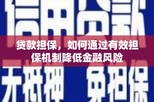 林园贷款担保，如何通过有效担保机制降低金融风险