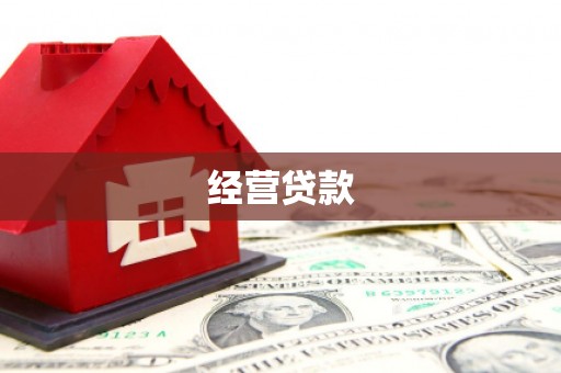林园经营贷款