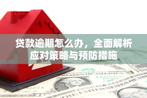 林园贷款逾期怎么办，全面解析应对策略与预防措施
