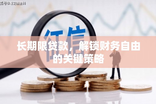林园长期限贷款，解锁财务自由的关键策略
