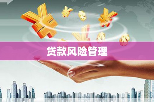 林园贷款风险管理