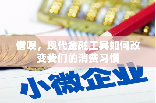 林园借呗，现代金融工具如何改变我们的消费习惯