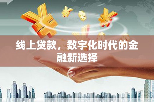 林园线上贷款，数字化时代的金融新选择