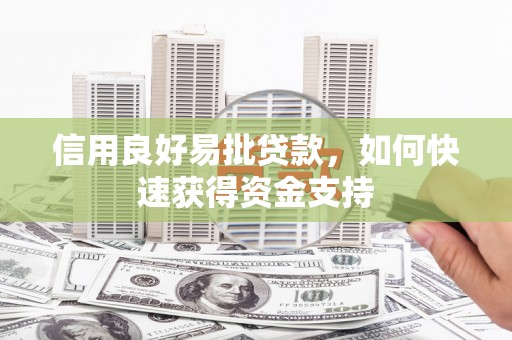 林园信用良好易批贷款，如何快速获得资金支持