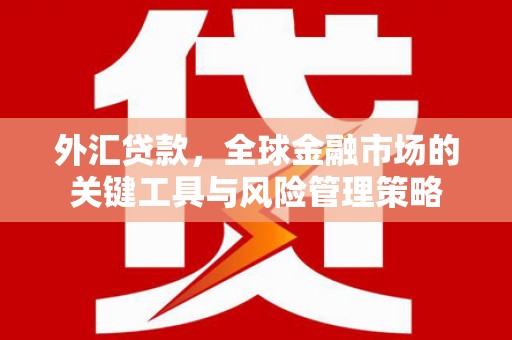 林园外汇贷款，全球金融市场的关键工具与风险管理策略