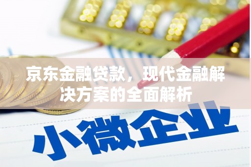 林园京东金融贷款，现代金融解决方案的全面解析