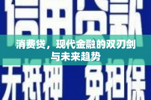 林园消费贷，现代金融的双刃剑与未来趋势