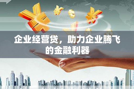 林园企业经营贷，助力企业腾飞的金融利器