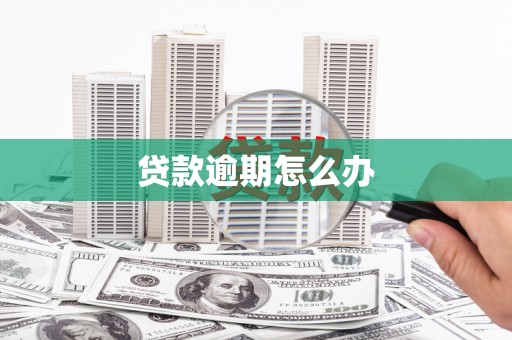 林园贷款逾期怎么办