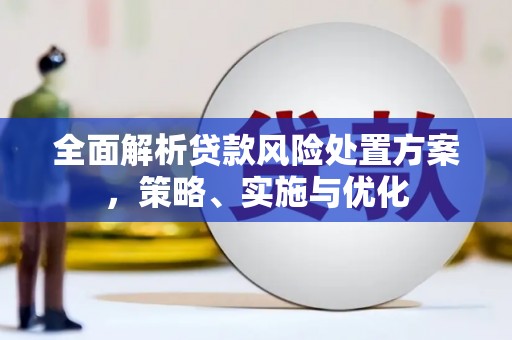 林园全面解析贷款风险处置方案，策略、实施与优化