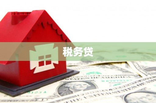 林园税务贷