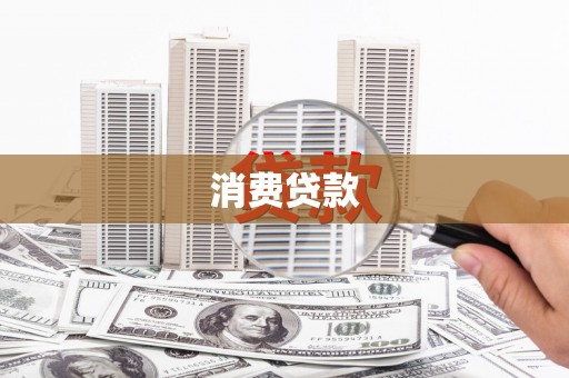 林园消费贷款