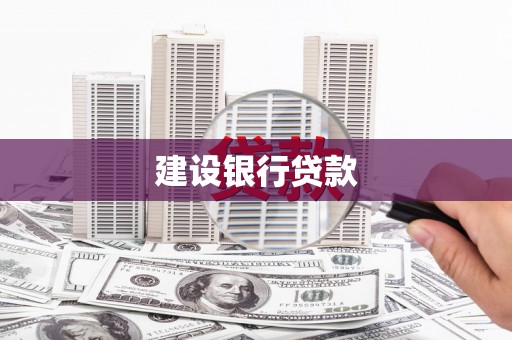 林园建设银行贷款