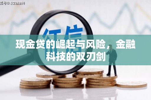 林园现金贷的崛起与风险，金融科技的双刃剑
