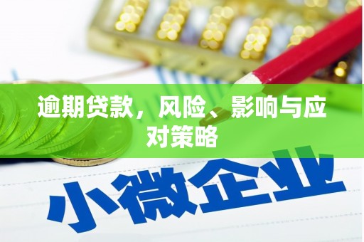 林园逾期贷款，风险、影响与应对策略