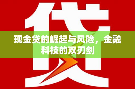 林园现金贷的崛起与风险，金融科技的双刃剑