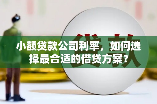林园小额贷款公司利率，如何选择最合适的借贷方案？