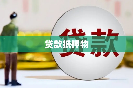 林园贷款抵押物