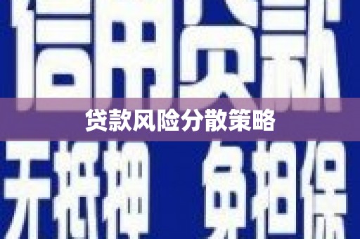 林园贷款风险分散策略