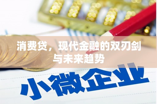 林园消费贷，现代金融的双刃剑与未来趋势