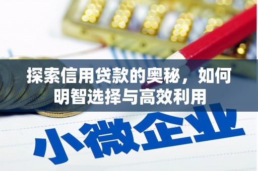 林园探索信用贷款的奥秘，如何明智选择与高效利用