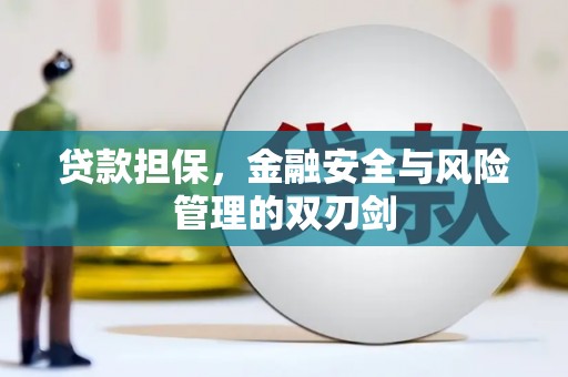 林园贷款担保，金融安全与风险管理的双刃剑