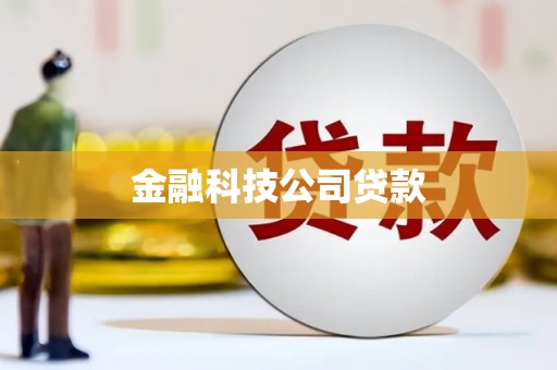 林园金融科技公司贷款