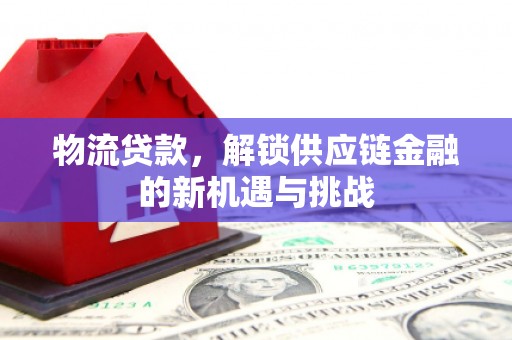 林园物流贷款，解锁供应链金融的新机遇与挑战