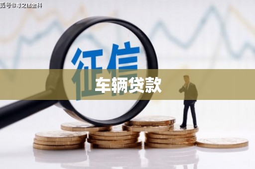 林园车辆贷款