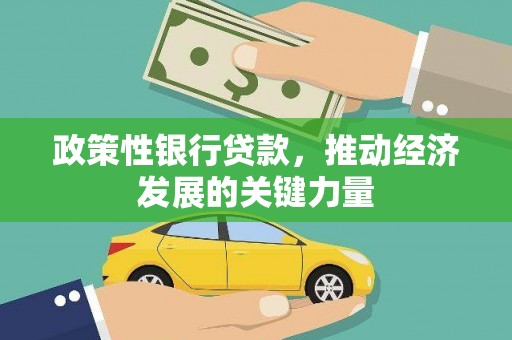 林园政策性银行贷款，推动经济发展的关键力量