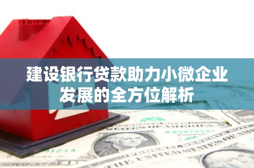 林园建设银行贷款助力小微企业发展的全方位解析