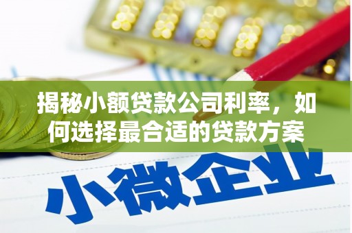 林园揭秘小额贷款公司利率，如何选择最合适的贷款方案