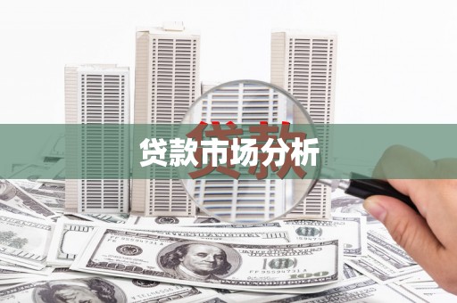 林园贷款市场分析