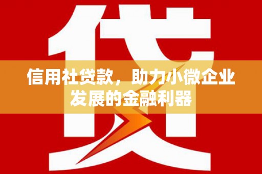 林园信用社贷款，助力小微企业发展的金融利器
