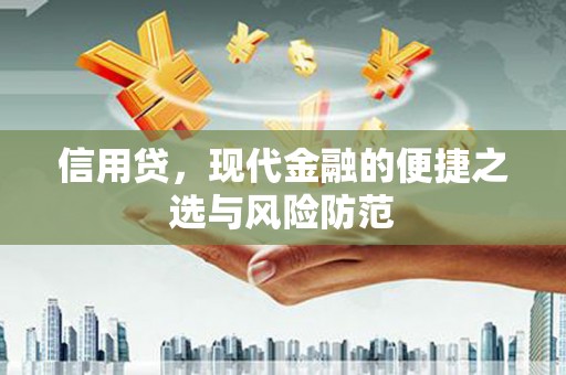 林园信用贷，现代金融的便捷之选与风险防范