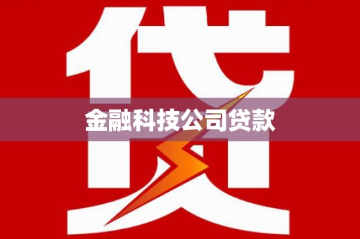 林园金融科技公司贷款