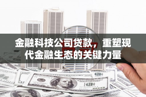 林园金融科技公司贷款，重塑现代金融生态的关键力量