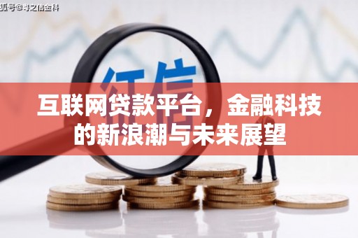 林园互联网贷款平台，金融科技的新浪潮与未来展望