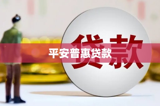 林园平安普惠贷款