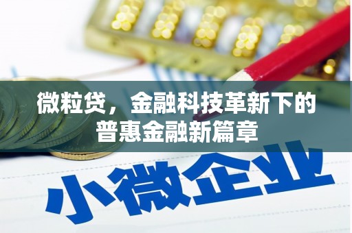 林园微粒贷，金融科技革新下的普惠金融新篇章