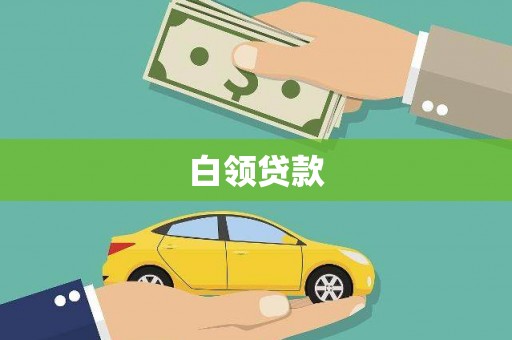 林园白领贷款
