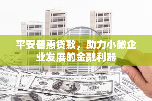 林园平安普惠贷款，助力小微企业发展的金融利器