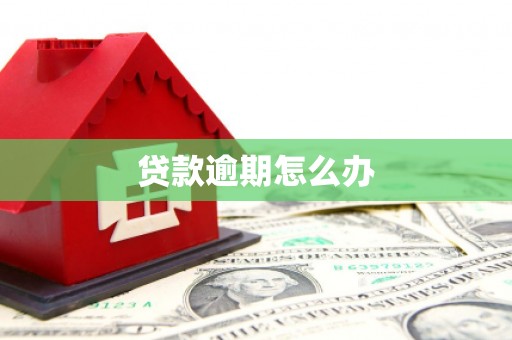 林园贷款逾期怎么办