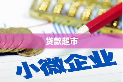 林园贷款超市