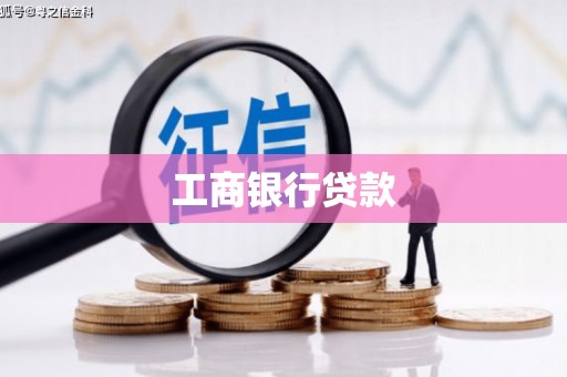 林园工商银行贷款