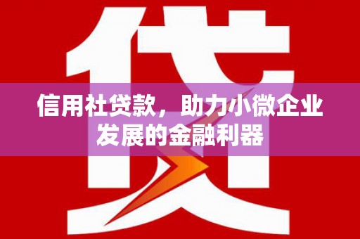 林园信用社贷款，助力小微企业发展的金融利器