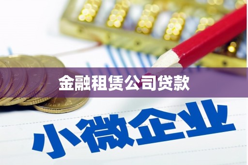 林园金融租赁公司贷款